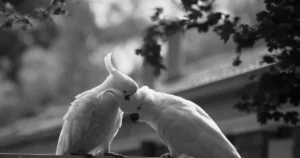 Featured image for 25 Meaningful Friend Connection Quotes to Warm Your Soul 2026